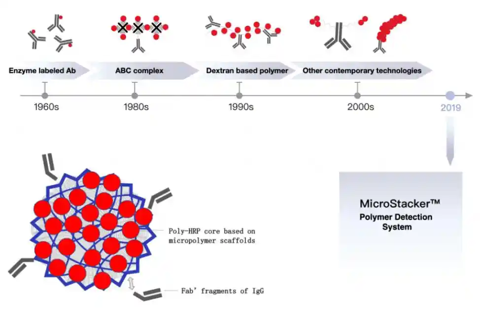 HRP-Polymer Detection Kit by Celnovte Biotechnology